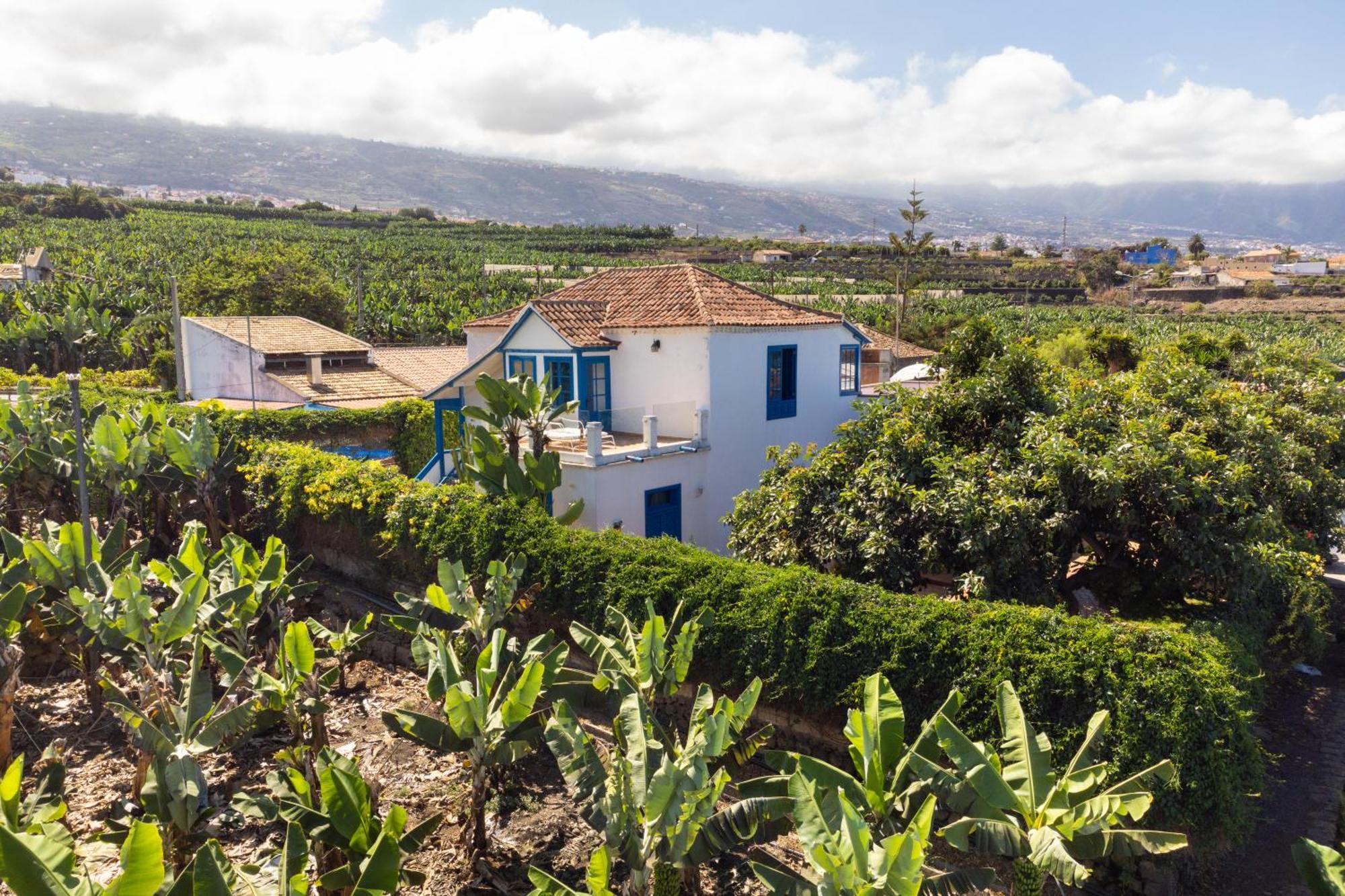 Appartement La Hacienda Grande à Puerto de la Cruz  Extérieur photo